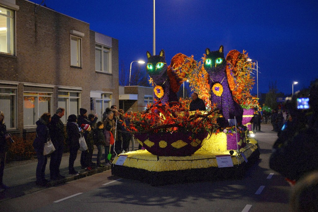 ../Images/Bloemencorso Noordwijkerhout 181.jpg